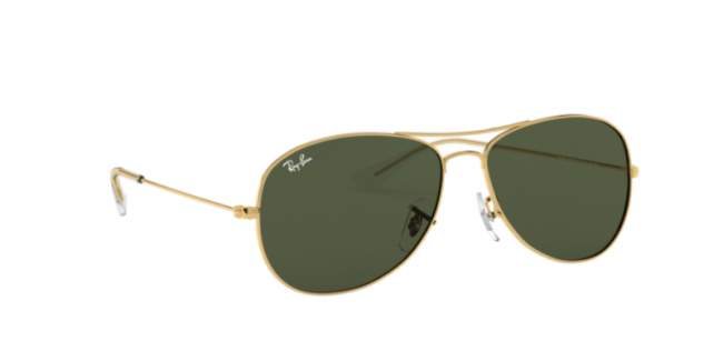 Ray Ban Cockpit Unisex Lifestyle Sunglasses New Day Sports